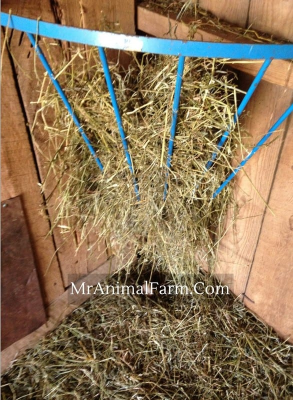 hay feeder with hay
