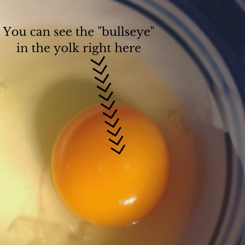 fertile egg bullseye