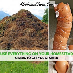 Use everything on your homestead