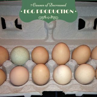 Causes Decreased Egg Production