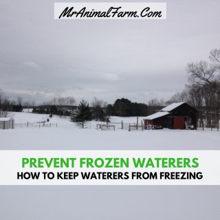Prevent Frozen Water