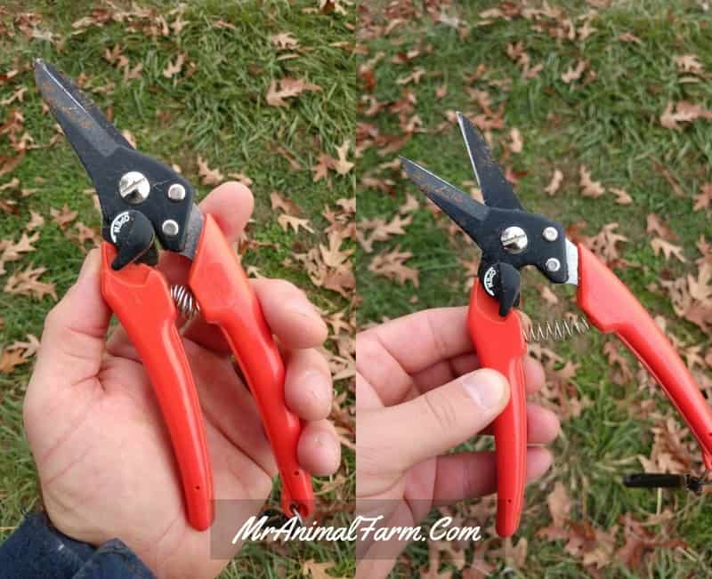 goat hoof trimmers