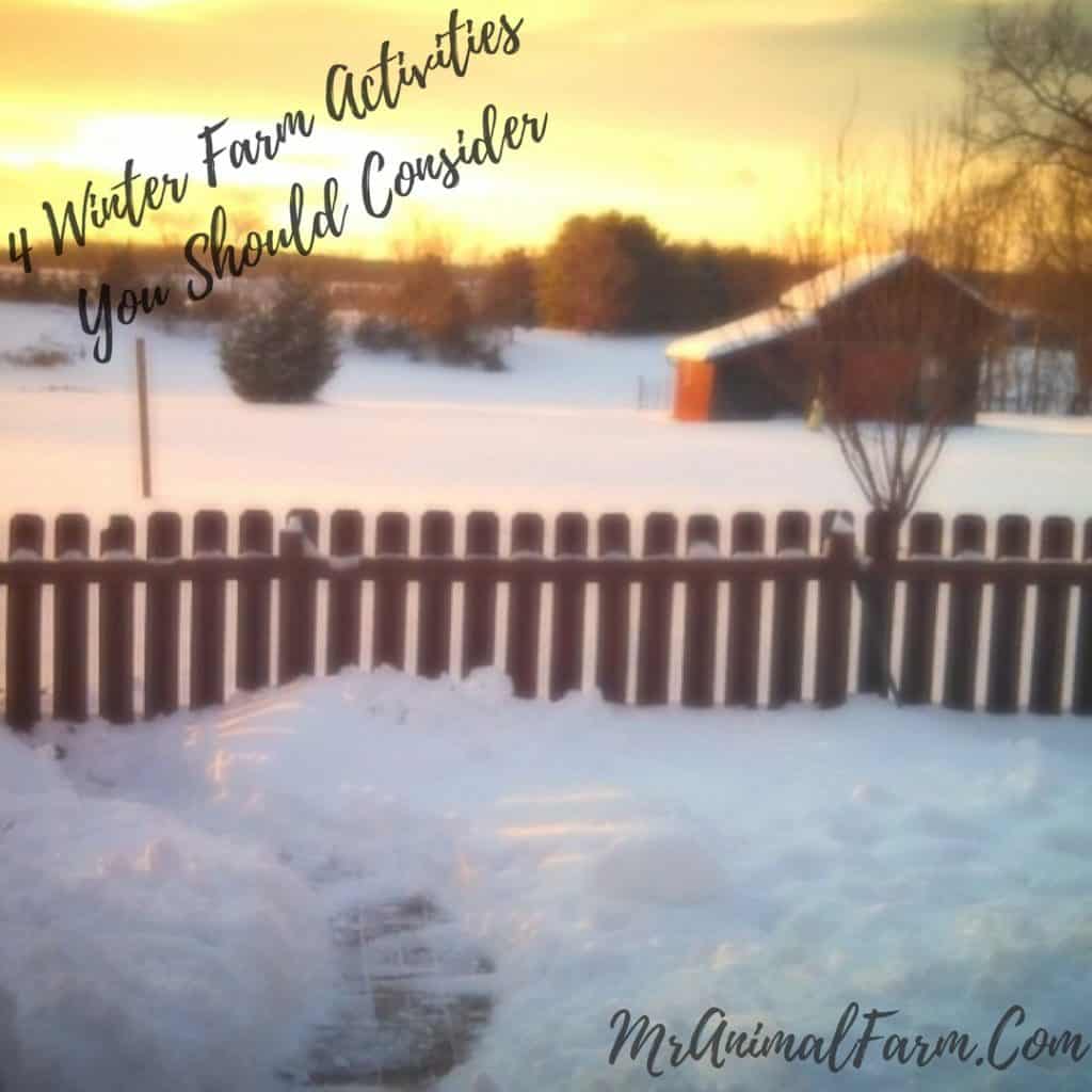 Winter Farm Activities