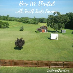How we started with small scale farming