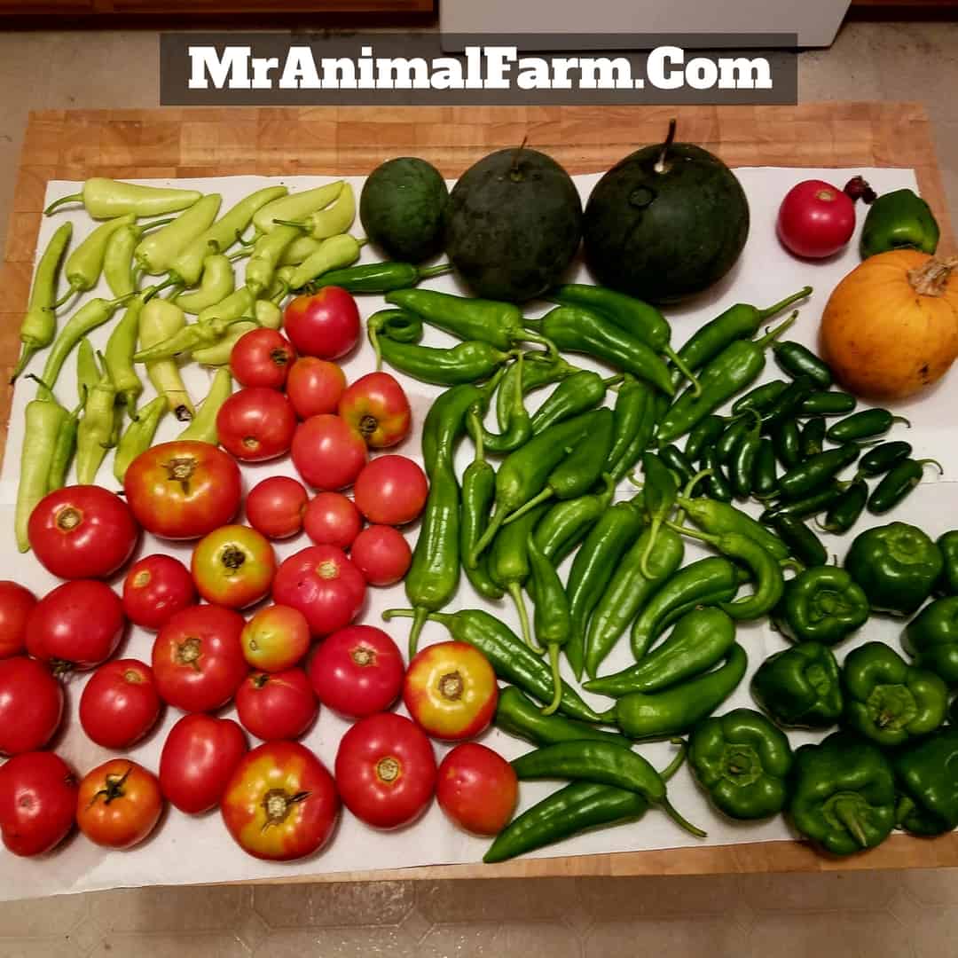 tons of vegetables in a butcher block