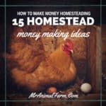 How to Make Money Homesteading - 15 Homestead Money Making Ideas