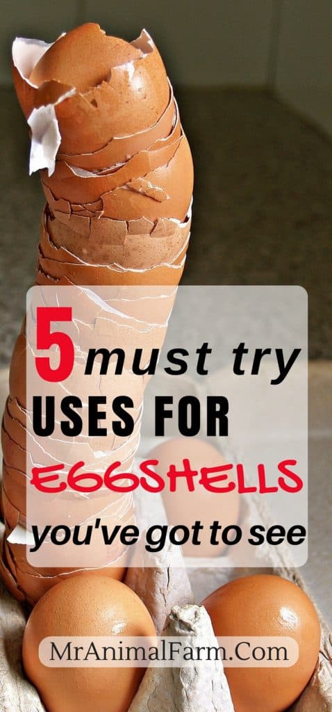 Uses for Eggshells