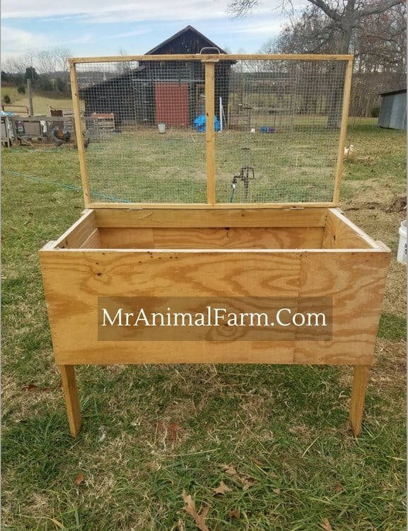 chicken brooder box