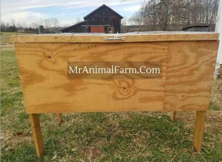 front of chick brooder box