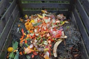 compost pile