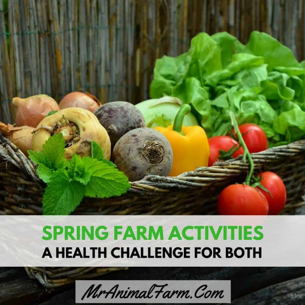 Spring Farm Activities We Are Doing & So Should You! Mranimal Farm