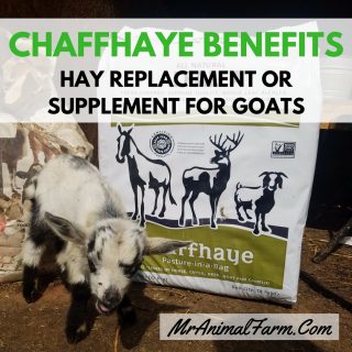 Chaffhaye benefits