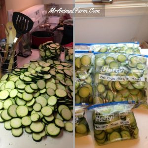 Easy Zucchini Recipes