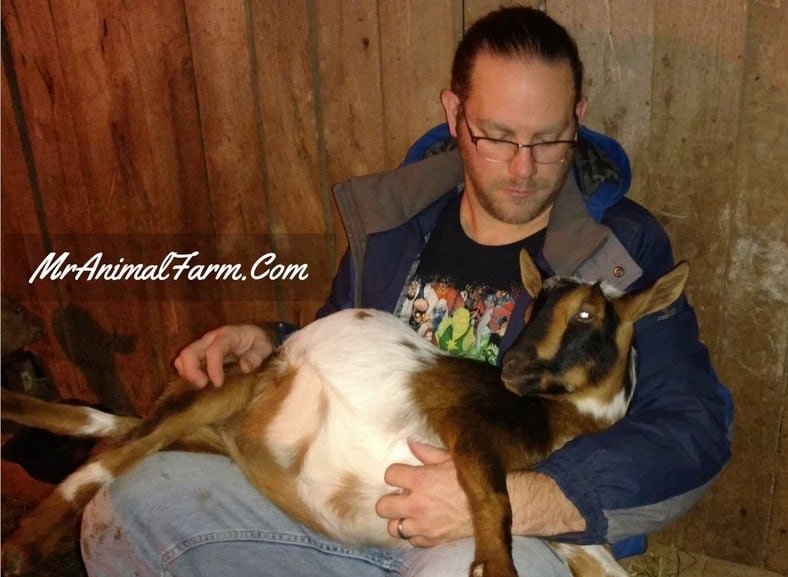 guy with goat in lap