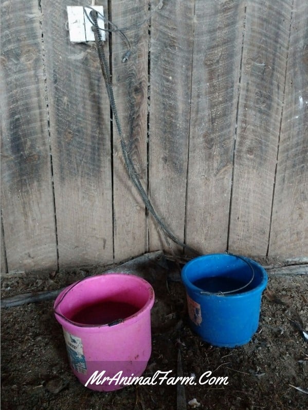 two heated water buckets used to care for goats in winter