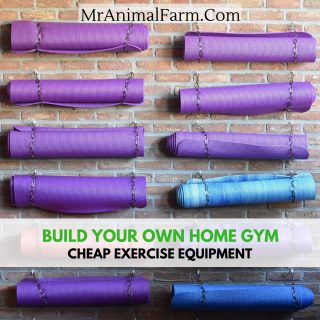 cheap exercise equipment