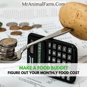 food budget