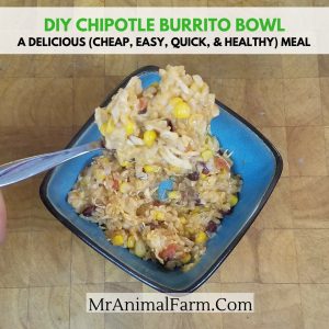 Chipotle Burrito Bowl