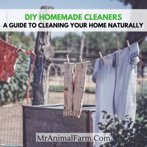 Homemade cleaners