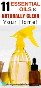 homemade cleaners