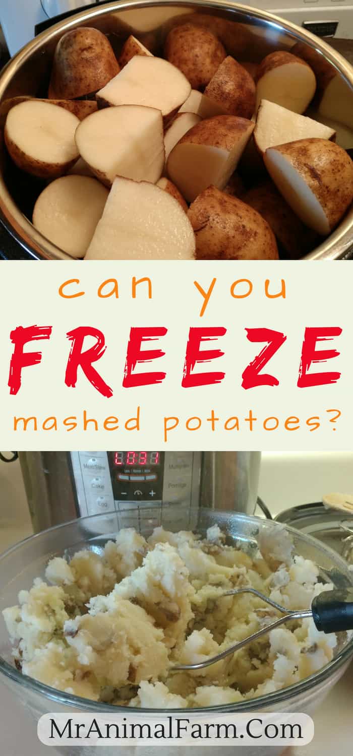 Can You Freeze Mashed Potatoes  pinterest image