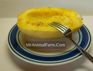 fork with cooked Spaghetti Squash