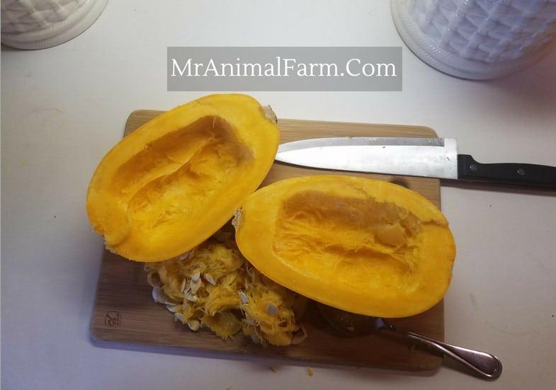 Spaghetti Squash with seeds removed