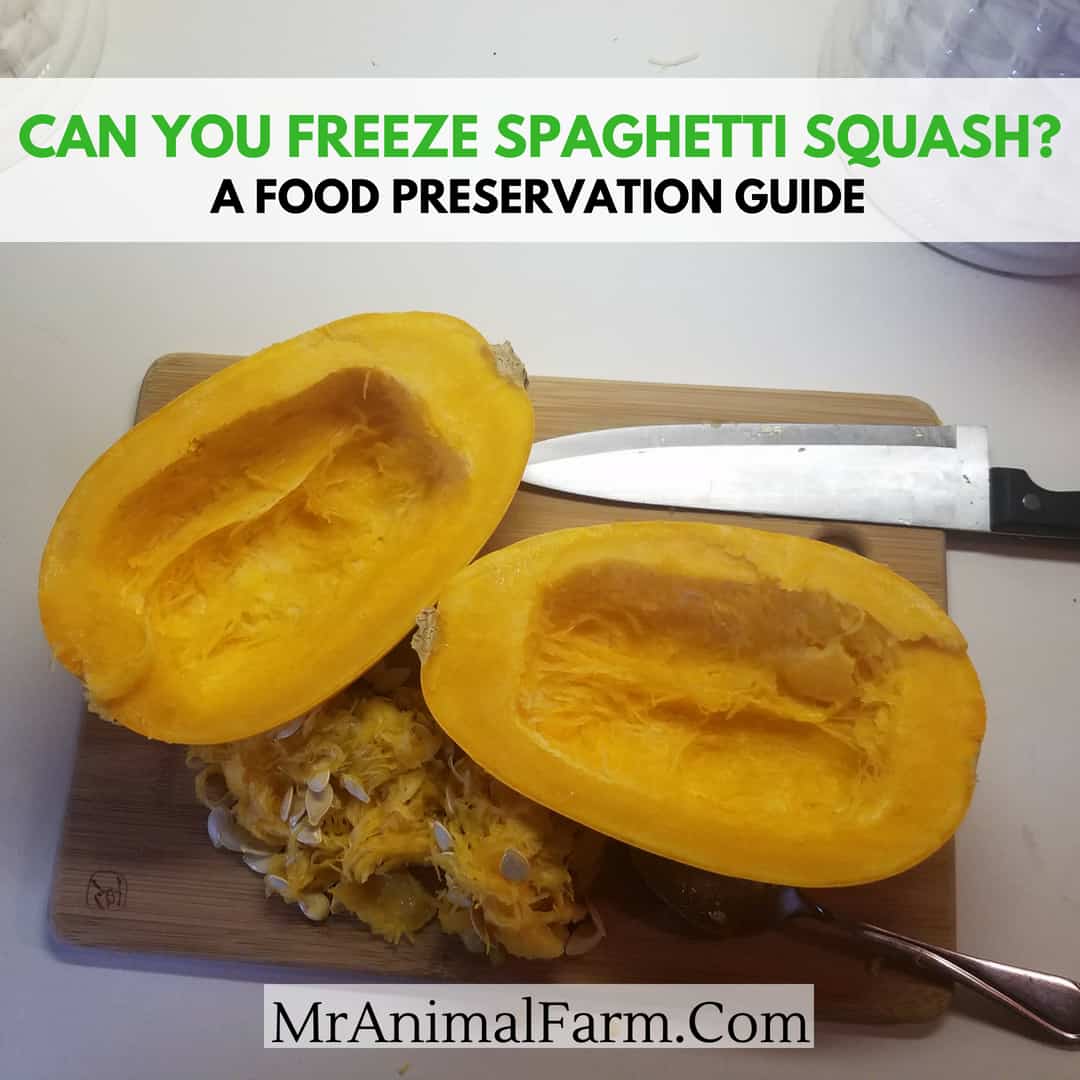spaghetti squash cut in half on cutting board. text reads, "can you freeze spaghetti squash? a food preservation guide"