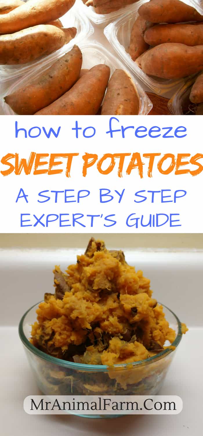 Can You Freeze Sweet Potatoes