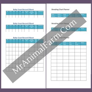 goat breeding planner