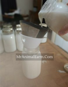 pouring milk into filter and quart jar