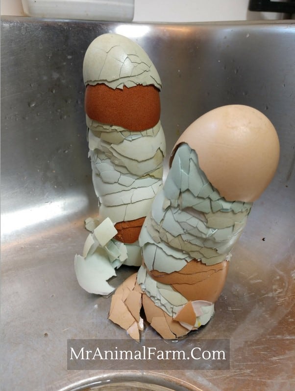 broken egg shells stacked in sink