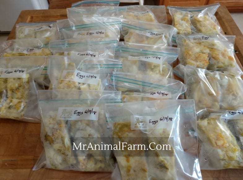 baked eggs packed into ziplock bags for freezing