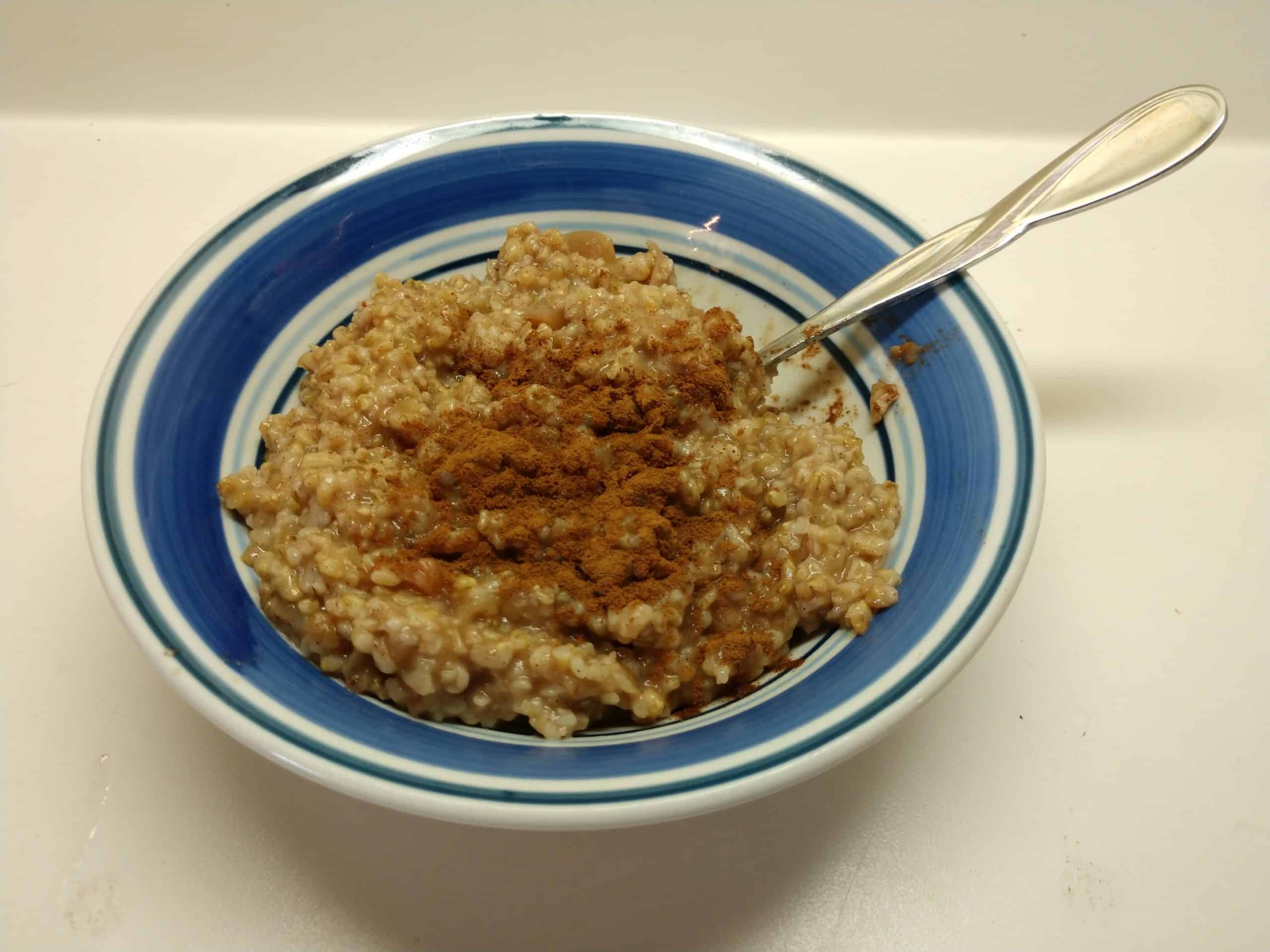 bowl of oatmeal with cinnamon on top