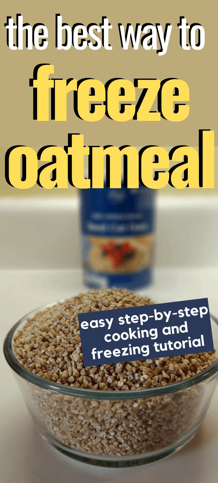 Pinterest image depicting a bowl of uncooked steel cut oats with container blurry in the background. Text overlay stating "the best way to freeze oatmeal. easy step-by-step cooking and freezing tutorial."