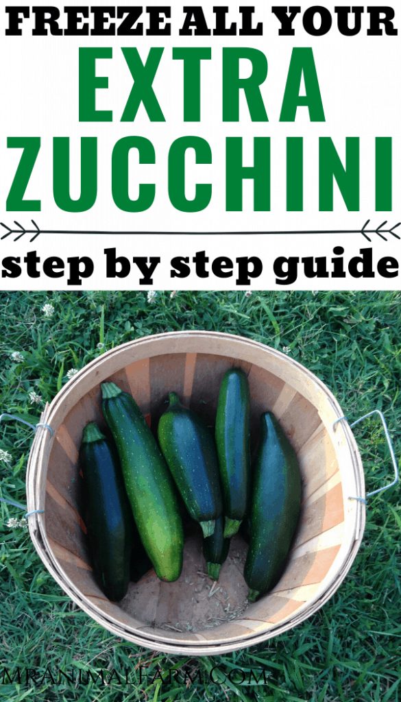Pinterest image of zucchini in a harvest basket with text reading, "Freeze all your extra zucchini step by step guide"