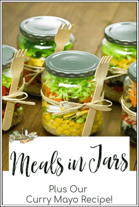 free meal plans for single meals in mason jars