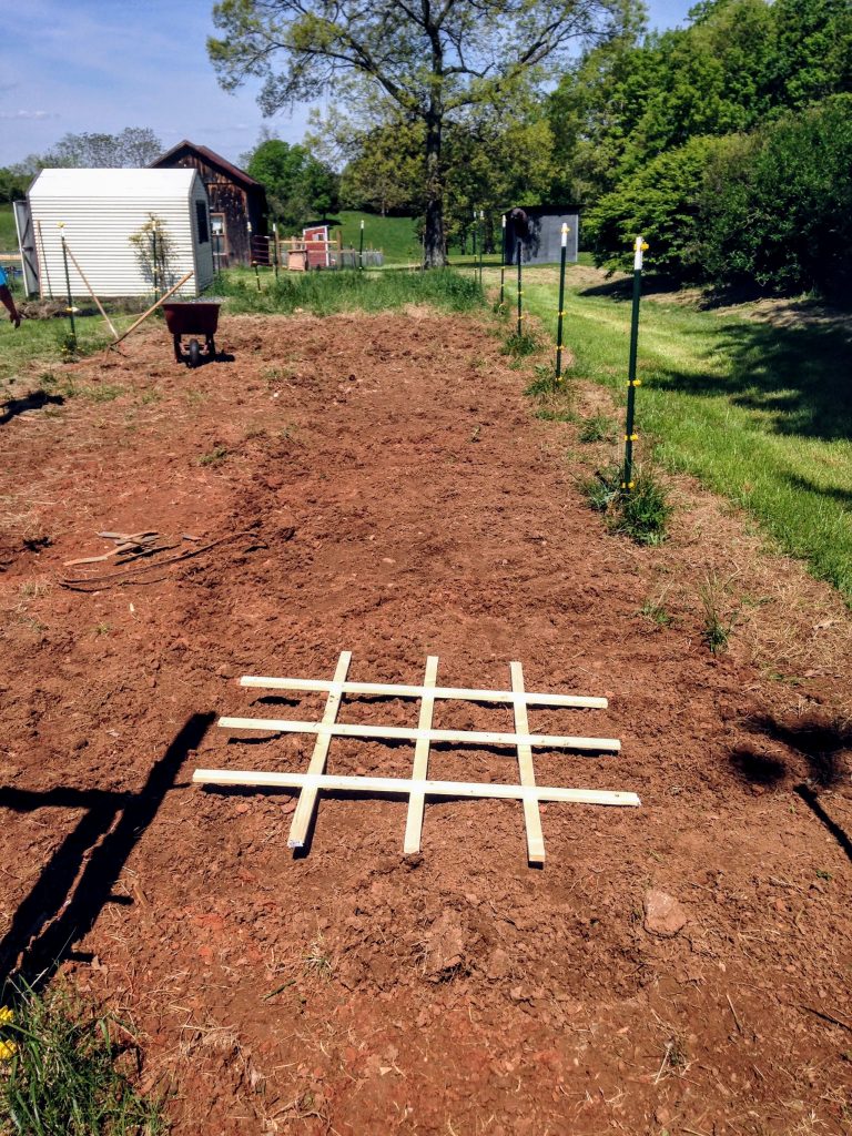 square foot gardening grid in tilled garden area