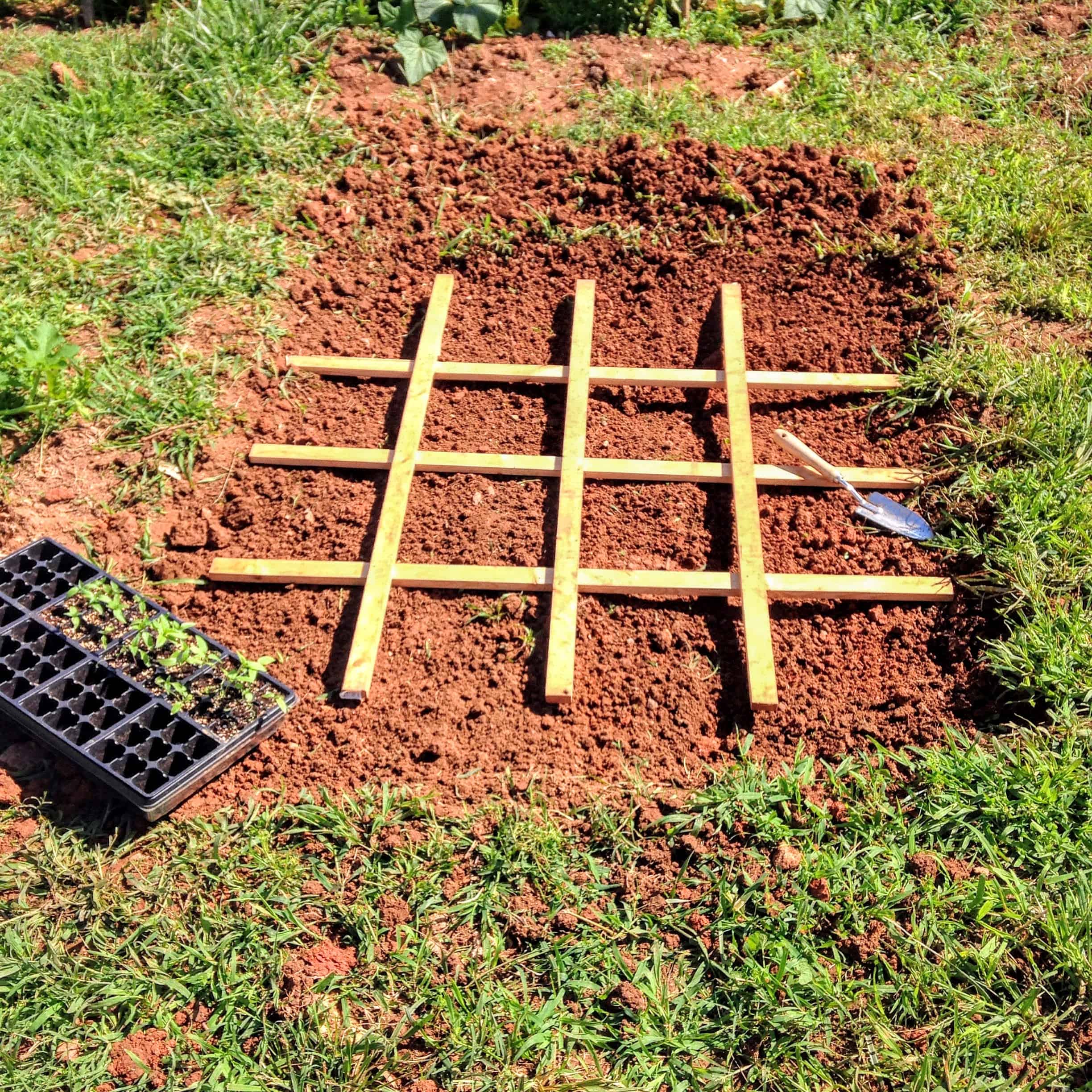 square foot gardening grid