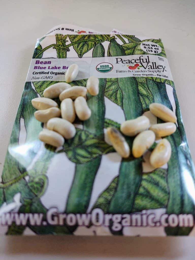 packet of green bean seeds with seeds on top