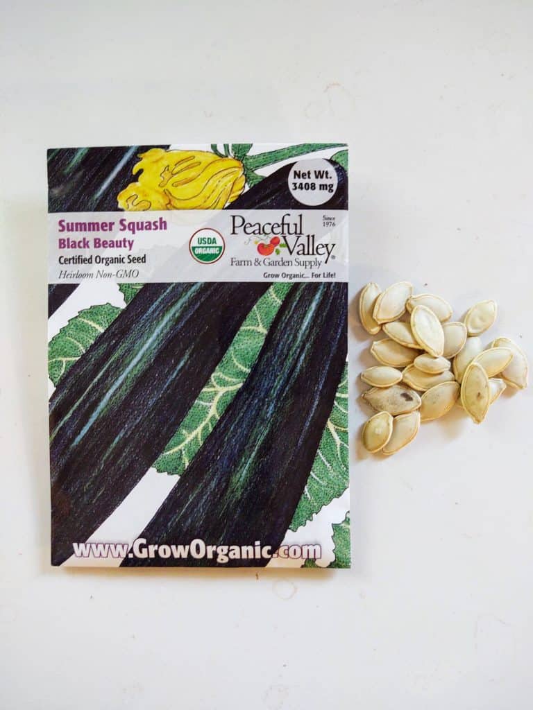 packet of zucchini seeds with pile of seeds next to it