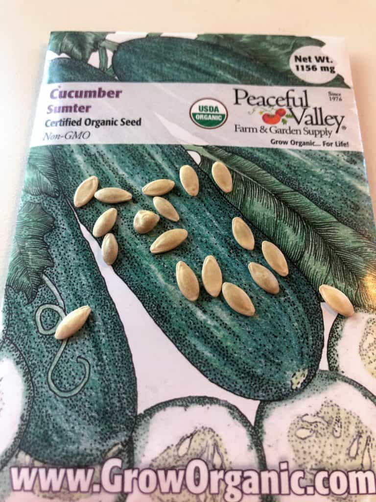 packet of cucumber seeds with seeds on top