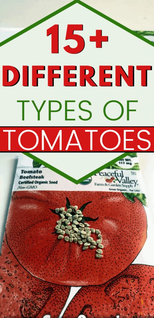 pinterest image for types of tomatoes. text reads, "15+ different types of tomatoes"