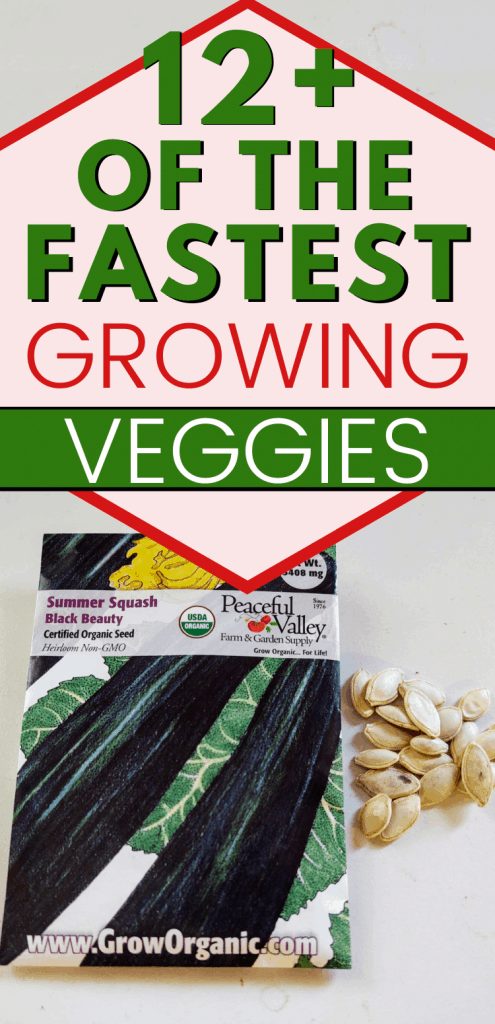 pinterest image for fastest growing vegetables. Packet of zucchini seeds. Text read, "12+ of the fastest growing veggies"