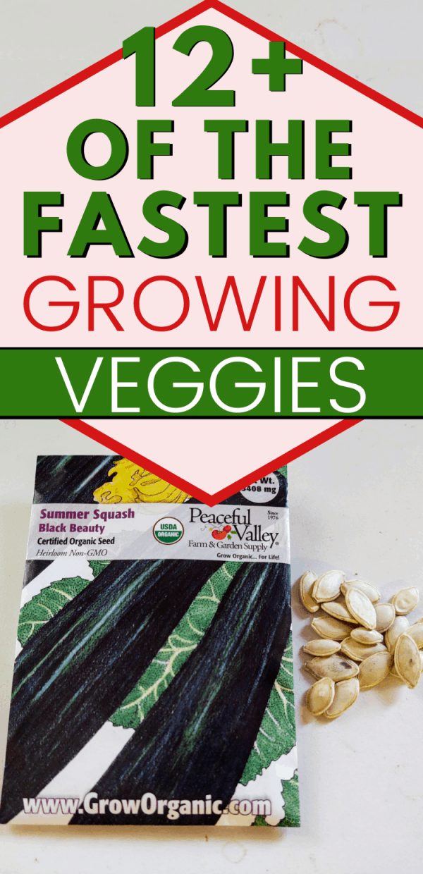 Fastest Growing Vegetables Mranimal Farm Fastest growing vegetables mranimal farm