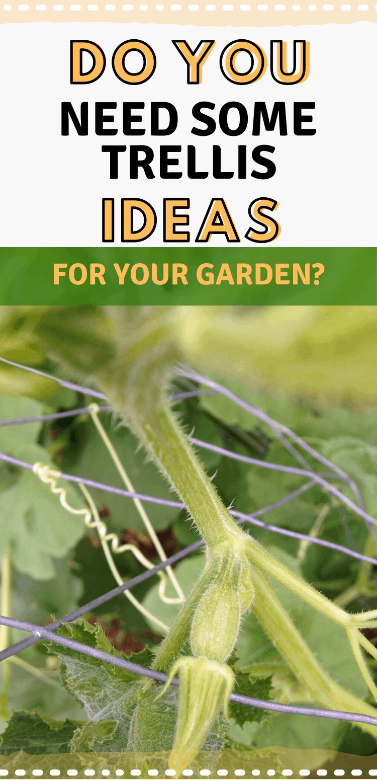 pinterest image with cucumber vine grabbing trellis. text reads, "do you need some trellis ideas for your garden?"