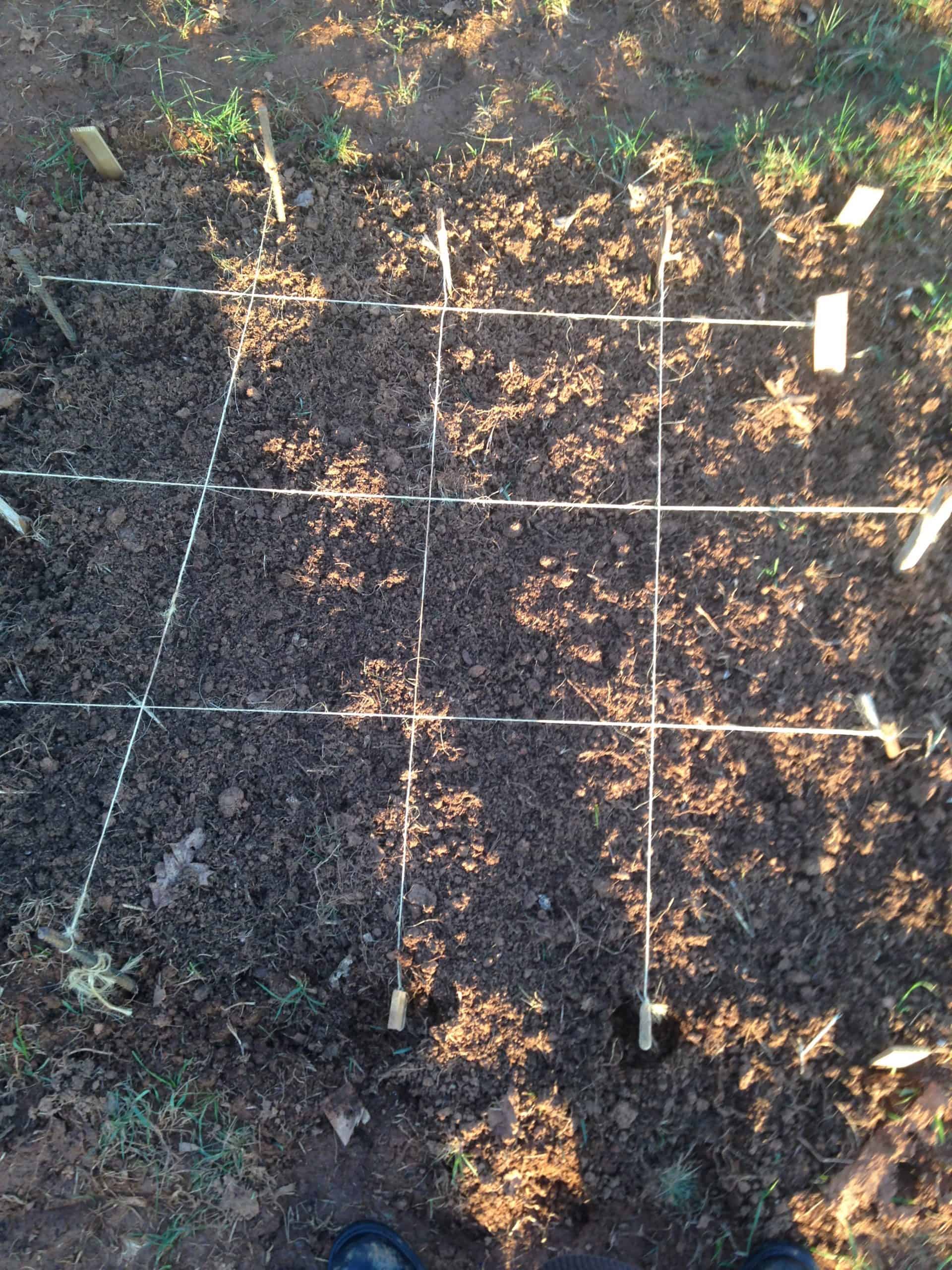 grid made with stakes and twine