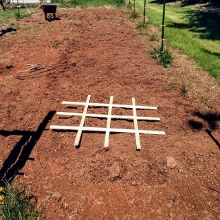 square foot gardening grid in garden