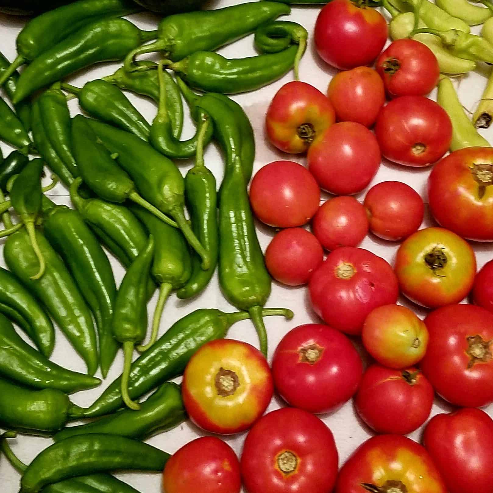 featured image for 'what vegetables are actually fruits'. tomatoes and peppers