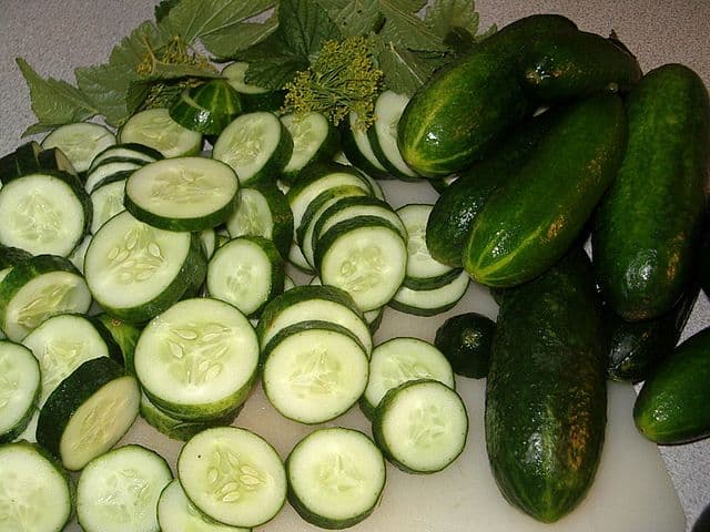 cucumbers for slicing